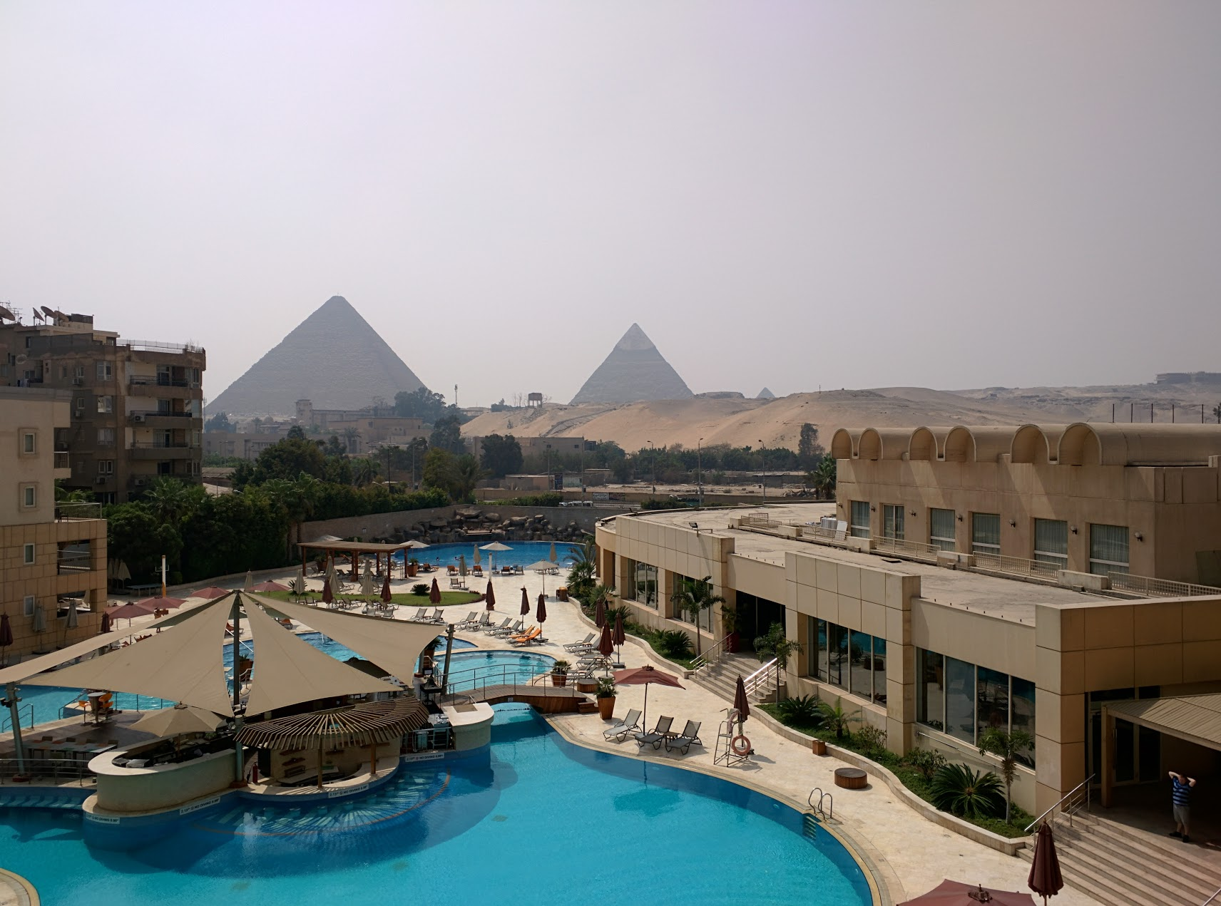 Tales from the road: the worst airport queuing in the world, and Don eats a Cairo pigeon