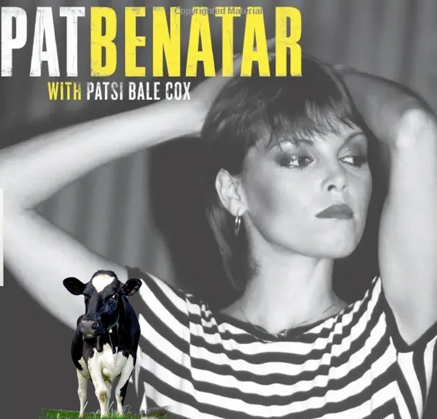 Pat Benatar Said: Hit Me With Your Best Shot